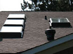 skylight 1